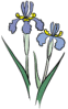 hana8.gif (3478 �o�C�g)